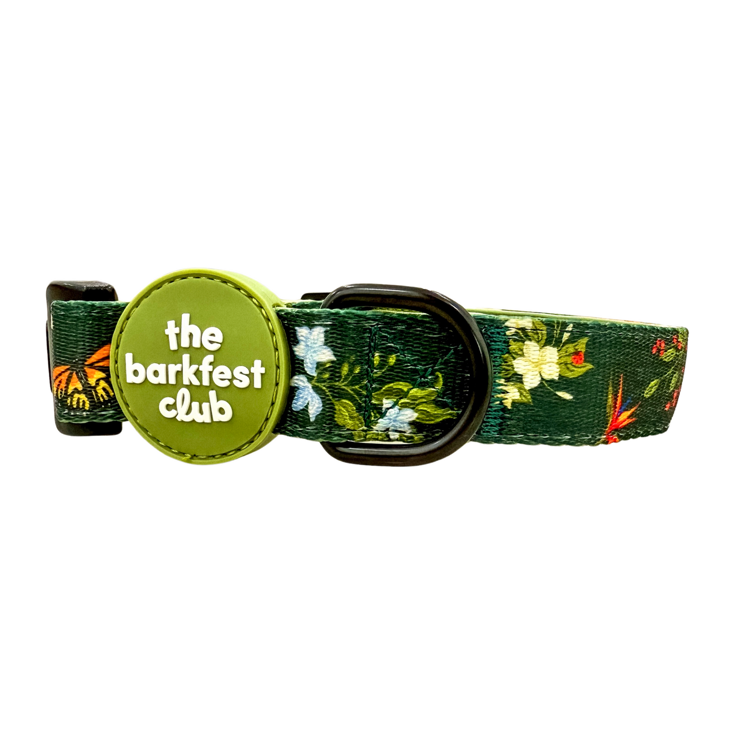 WILD FOREST | Collar