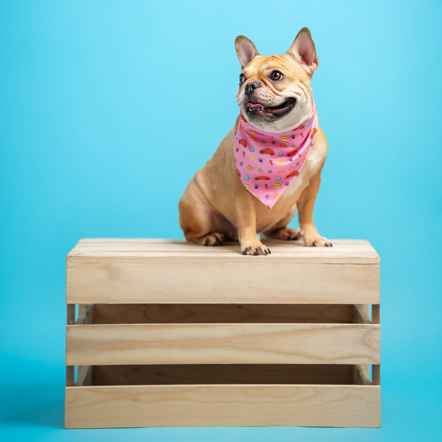 FUREVER IN STYLE - Volkswagen x The Barkfest Club | Bib
