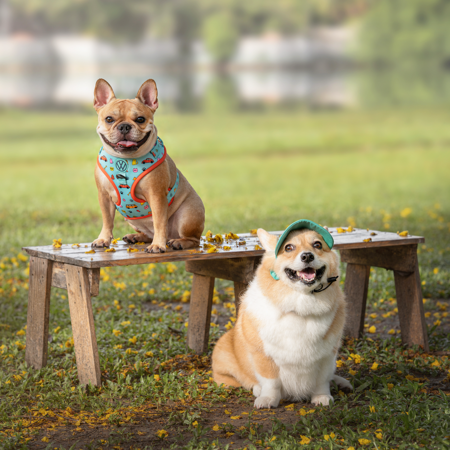 FUREVER IN STYLE - Volkswagen x The Barkfest Club | Adjustable Harness