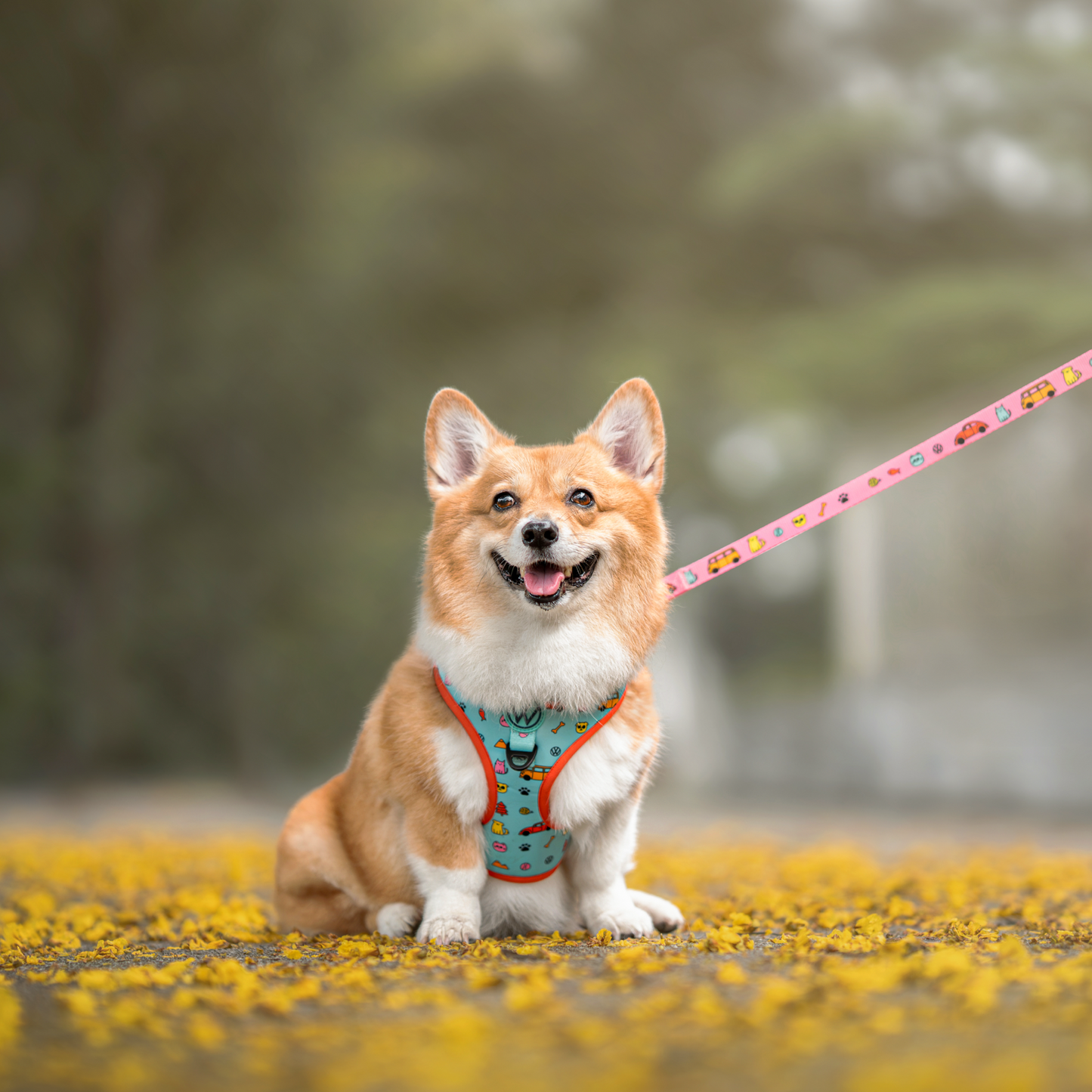 FUREVER IN STYLE - Volkswagen x The Barkfest Club | Adjustable Harness