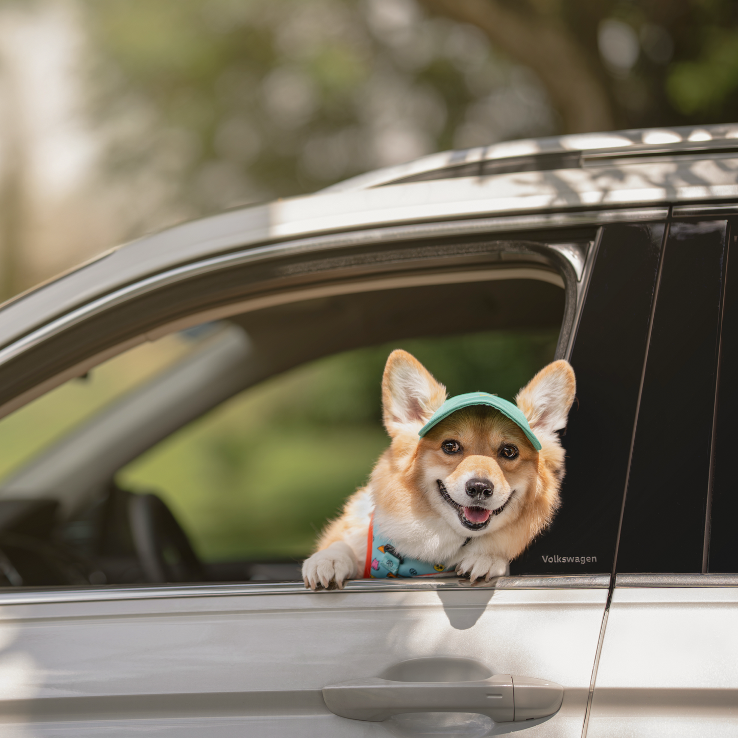 FUREVER IN STYLE - Volkswagen x The Barkfest Club | Cap