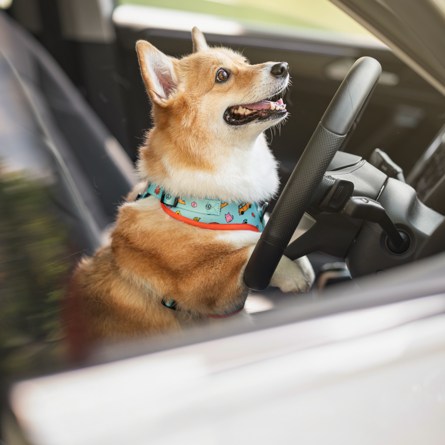 FUREVER IN STYLE - Volkswagen x The Barkfest Club | Adjustable Harness