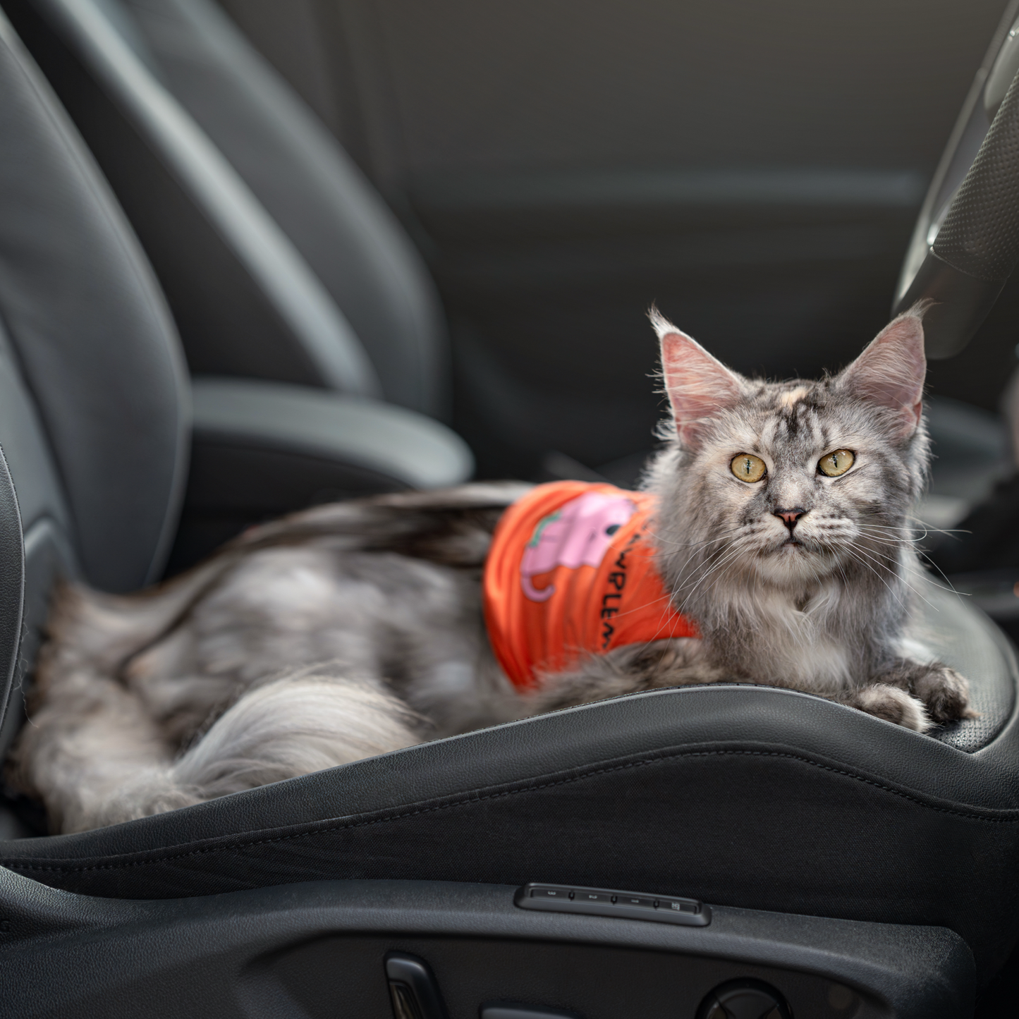 FUREVER IN STYLE - Volkswagen x The Barkfest Club | Singlet