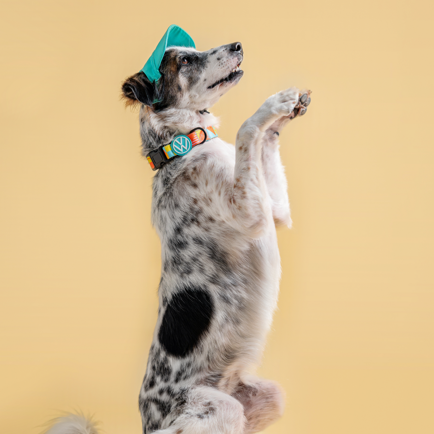 FUREVER IN STYLE - Volkswagen x The Barkfest Club | Cap