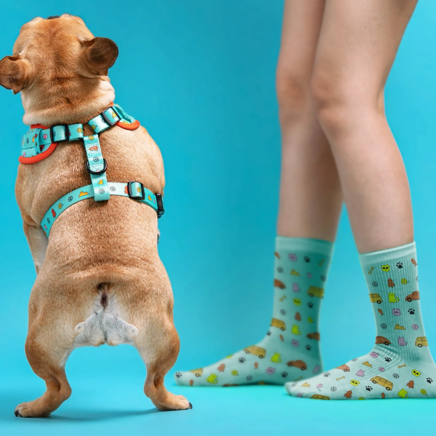 FUREVER IN STYLE - Volkswagen x The Barkfest Club | Socks