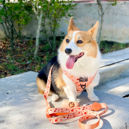 PEACHY BUTT CORGI | Adjustable Harness