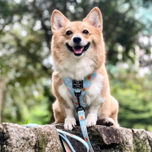 Load image into Gallery viewer, SUNNY-SIDE PUP | Adjustable Harness
