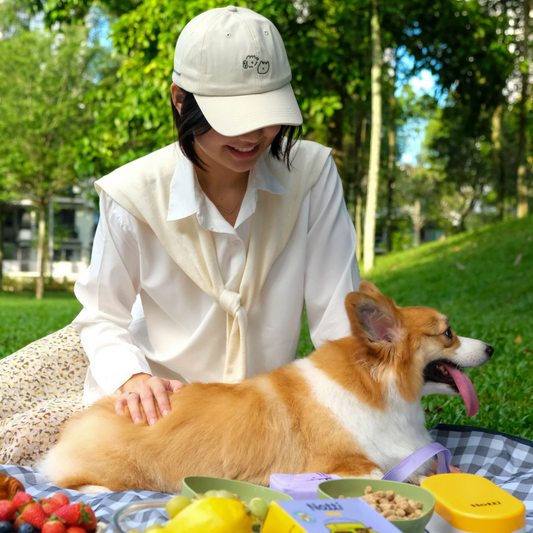 PAWRENTS' CAP - Notti x The Barkfest Club | Cap