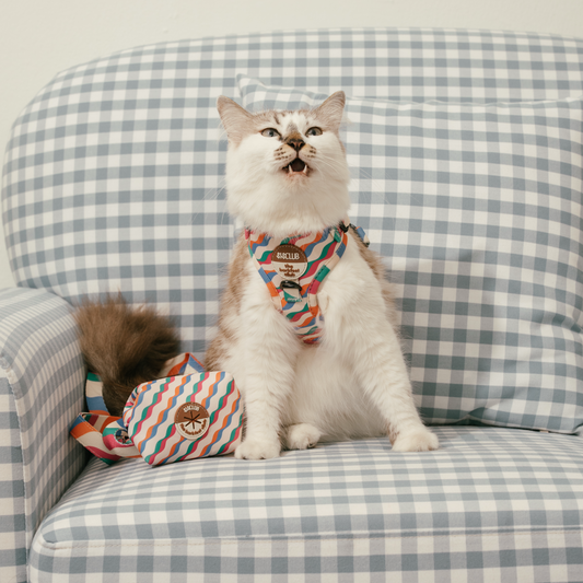 Chérie - SISCLUB x The Barkfest Club | Bundle