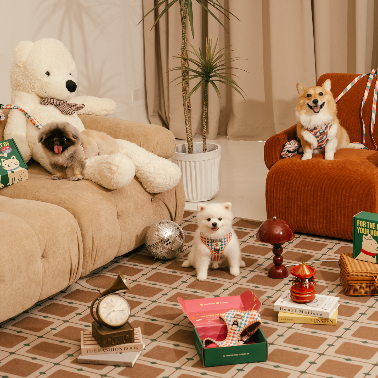Céleste - SISCLUB x The Barkfest Club | Bundle