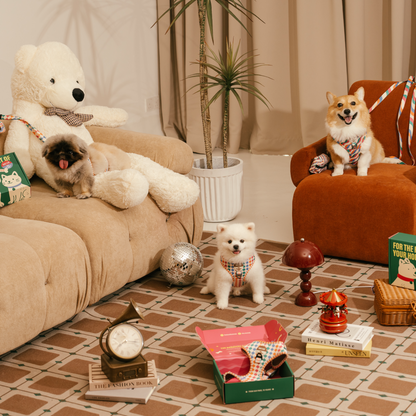 Céleste - SISCLUB x The Barkfest Club | Bundle
