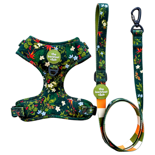 WILD FOREST  | Bundle