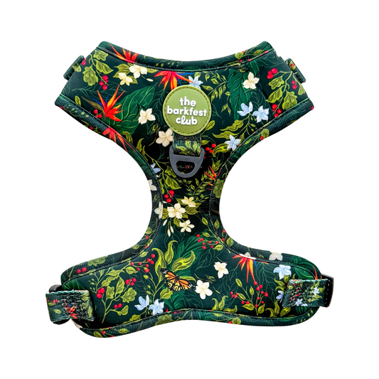 WILD FOREST  | Adjustable Harness