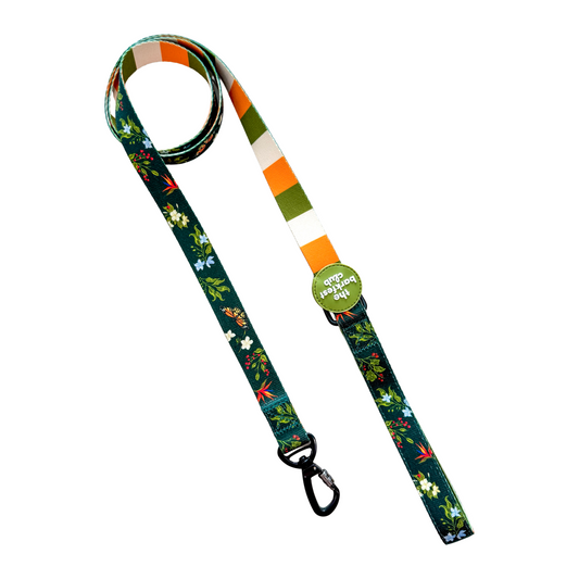WILD FOREST | Leash