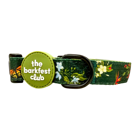 WILD FOREST | Collar