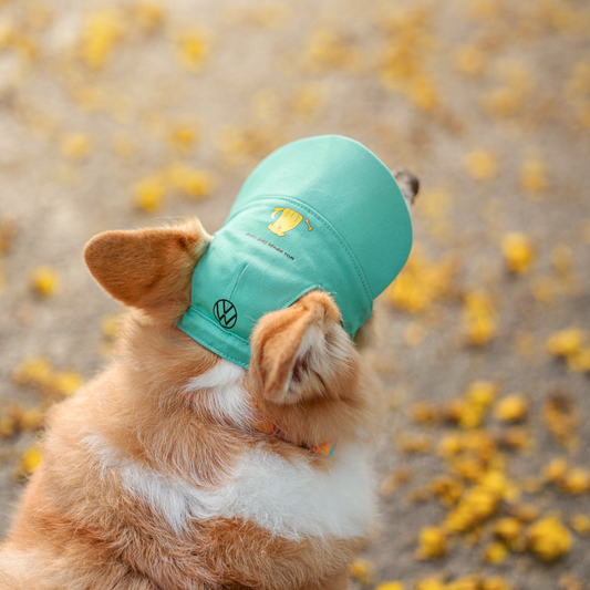 FUREVER IN STYLE - Volkswagen x The Barkfest Club | Cap