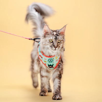 FUREVER IN STYLE - Volkswagen x The Barkfest Club | Leash