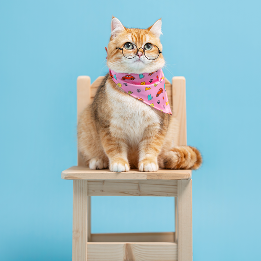 FUREVER IN STYLE - Volkswagen x The Barkfest Club | Bib