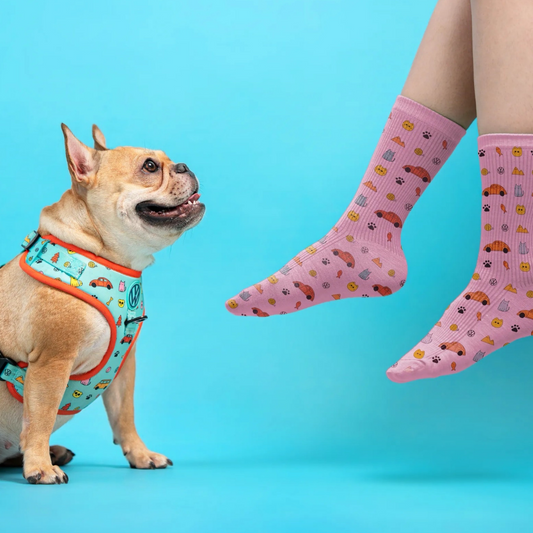 FUREVER IN STYLE - Volkswagen x The Barkfest Club | Socks