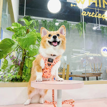 Load image into Gallery viewer, PEACHY BUTT CORGI | Adjustable Harness
