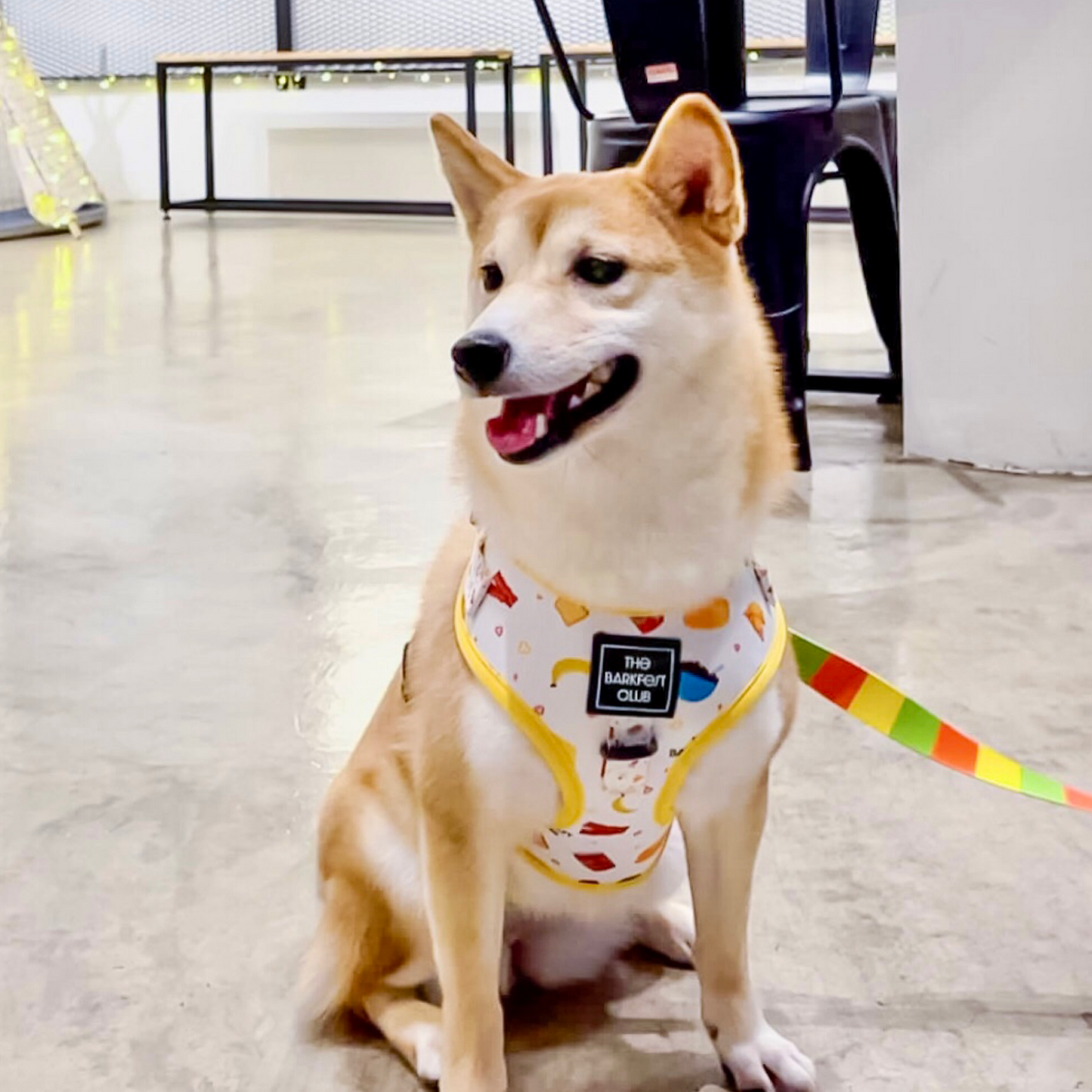 THE BARKFEST BREAKFAST | Adjustable Harness