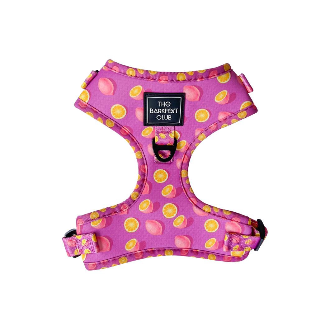 Hot Pink Pizza Dog Leash – Clive and Bacon